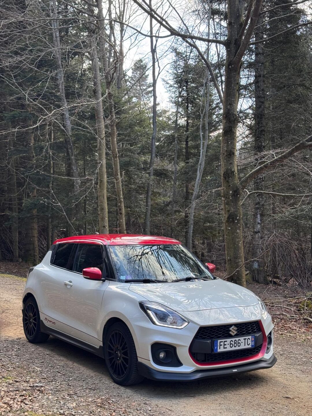 Suzuki Swift Sport 2019 ZC33S 140cv